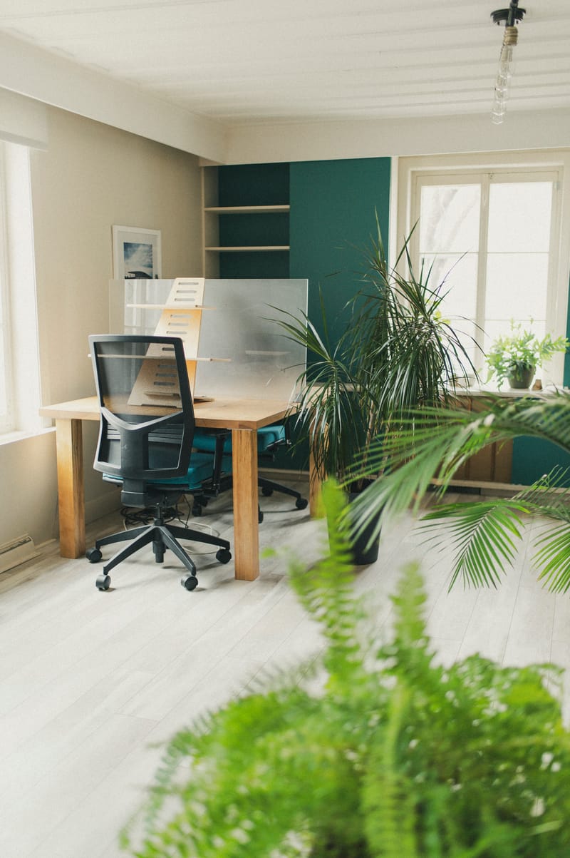 Poste de travail à l'aire ouverte — bureau, séparateur, mur sarcelle, plantes